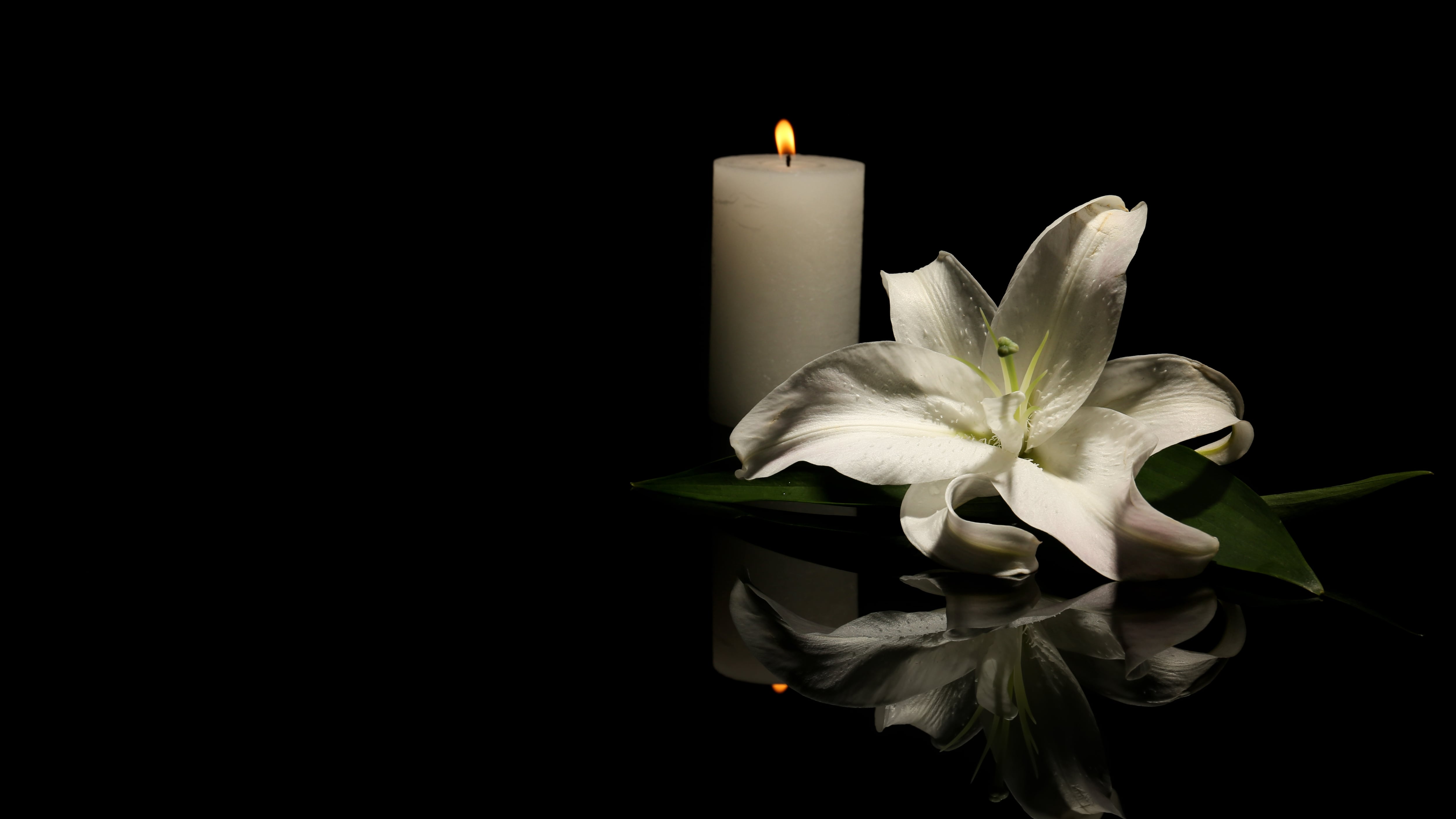 Beautiful lily and burning candle on dark background