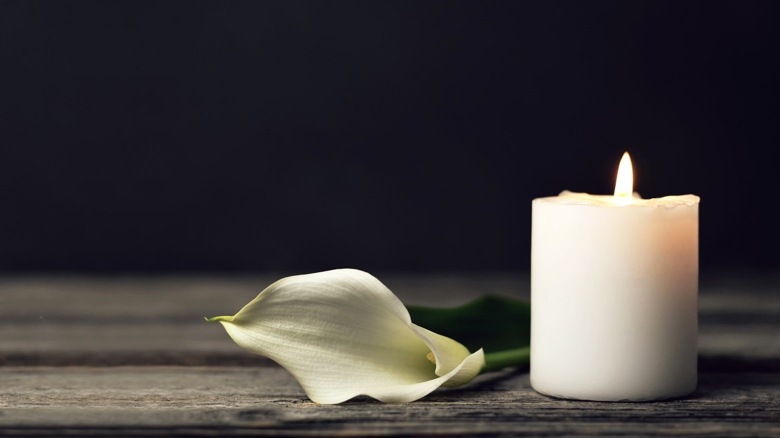 Burning candle and white calla on dark background