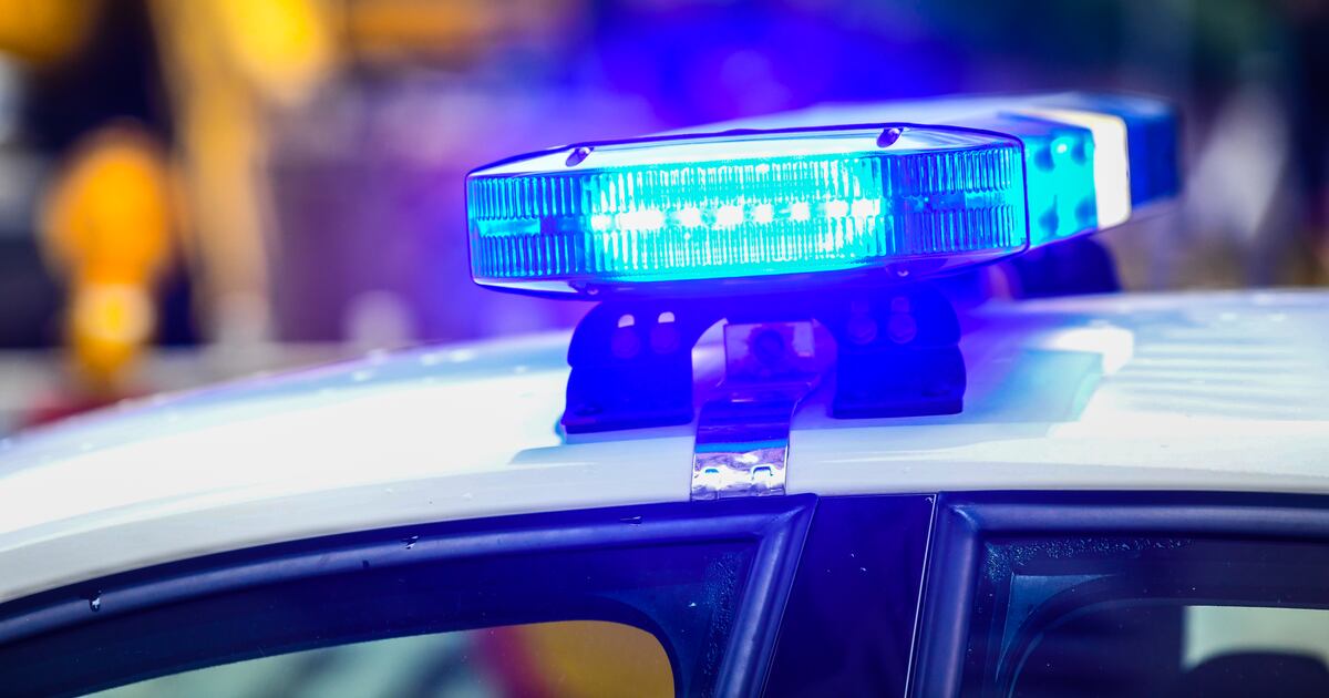 Two illegal immigrants charged with assaulting federal law enforcement officers in north Georgia